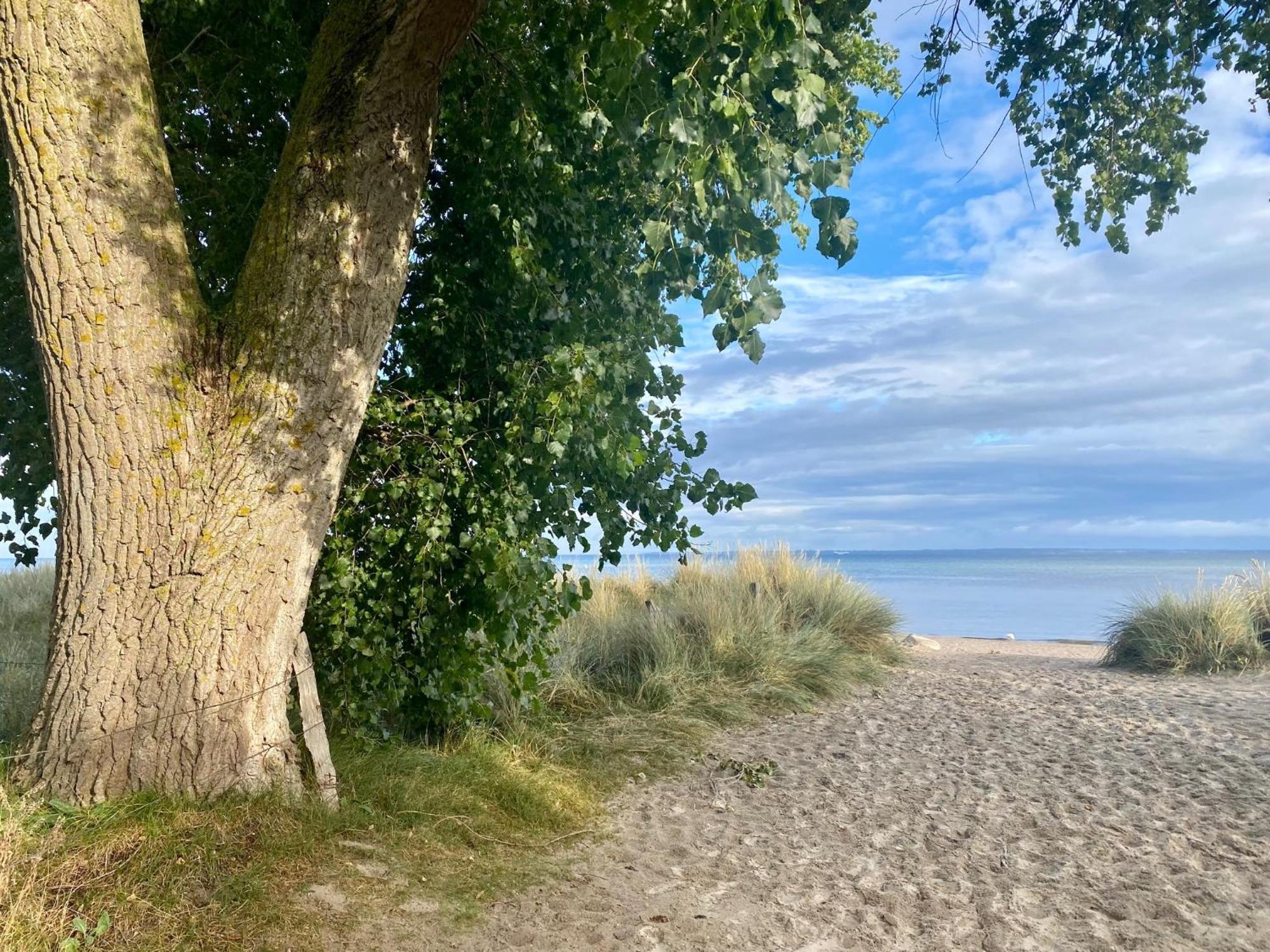 Feriendorf Suedstrand Haus 04 เพลเซอร์ฮาเคิน ภายนอก รูปภาพ